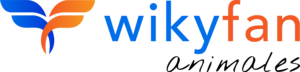 WikyFan